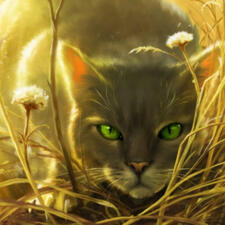 Dovewing